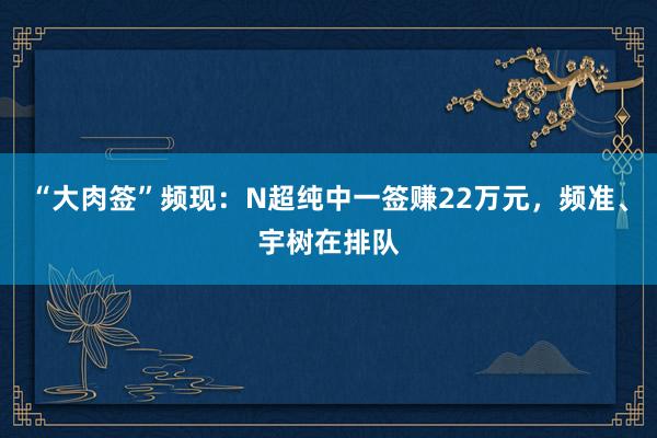 “大肉签”频现：N超纯中一签赚22万元，频准、宇树在排队