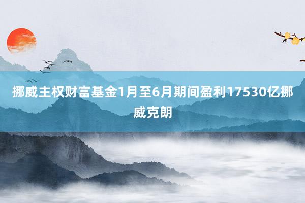 挪威主权财富基金1月至6月期间盈利17530亿挪威克朗
