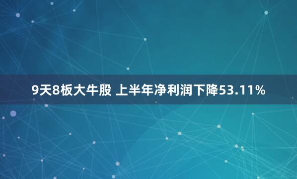 9天8板大牛股 上半年净利润下降53.11%