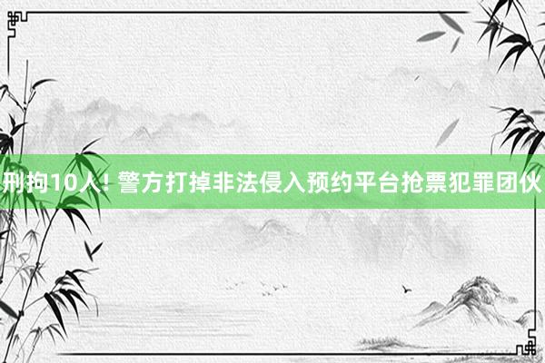 刑拘10人! 警方打掉非法侵入预约平台抢票犯罪团伙
