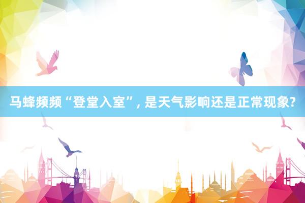 马蜂频频“登堂入室”, 是天气影响还是正常现象?