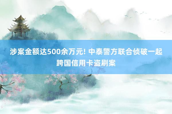 涉案金额达500余万元! 中泰警方联合侦破一起跨国信用卡盗刷案