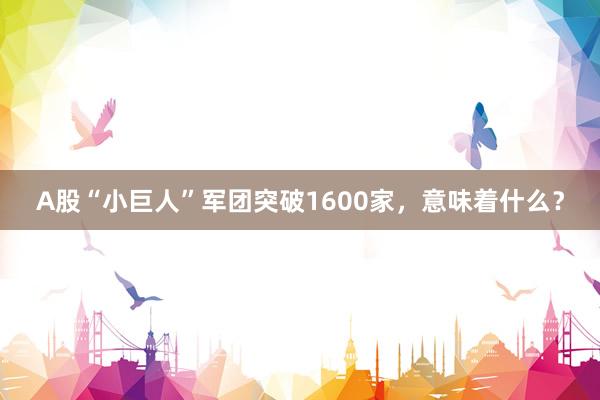 A股“小巨人”军团突破1600家，意味着什么？
