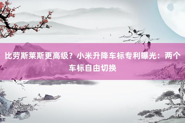 比劳斯莱斯更高级？小米升降车标专利曝光：两个车标自由切换