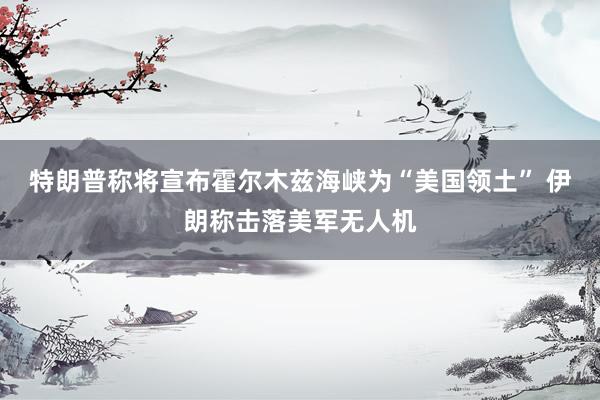 特朗普称将宣布霍尔木兹海峡为“美国领土” 伊朗称击落美军无人机