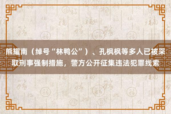 熊耀南（绰号“林鸭公”）、孔枫枫等多人已被采取刑事强制措施，警方公开征集违法犯罪线索