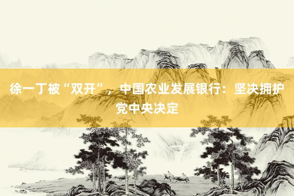 徐一丁被“双开”，中国农业发展银行：坚决拥护党中央决定