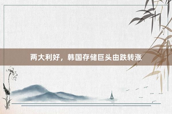 两大利好，韩国存储巨头由跌转涨