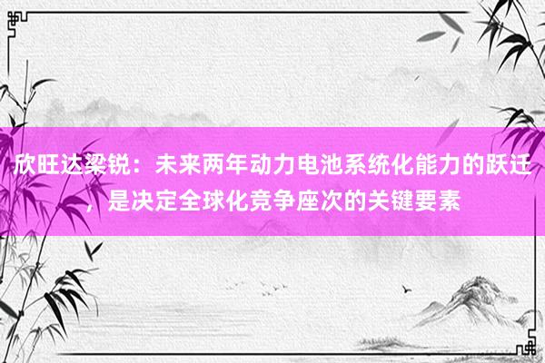 欣旺达梁锐：未来两年动力电池系统化能力的跃迁，是决定全球化竞争座次的关键要素