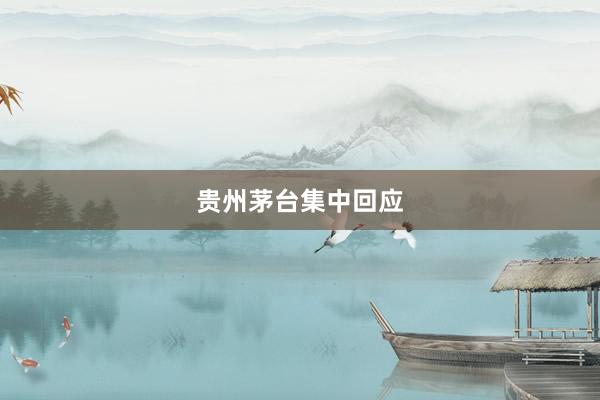 贵州茅台集中回应