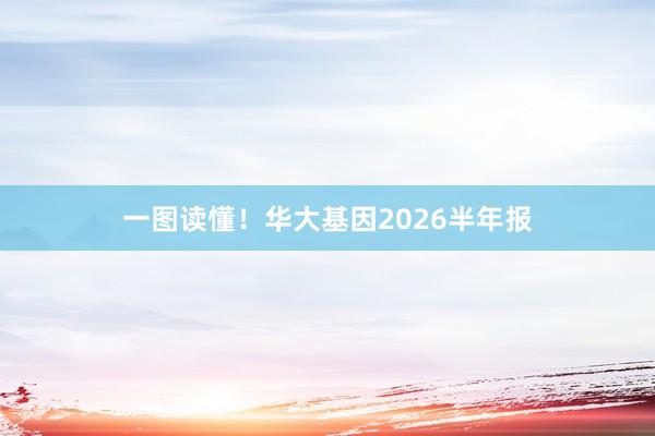 一图读懂！华大基因2026半年报