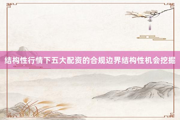 结构性行情下五大配资的合规边界结构性机会挖掘