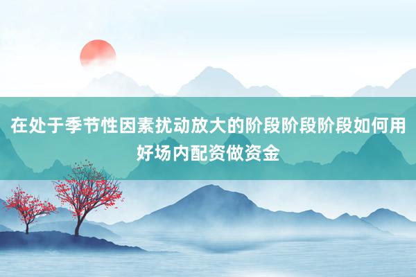 在处于季节性因素扰动放大的阶段阶段阶段如何用好场内配资做资金