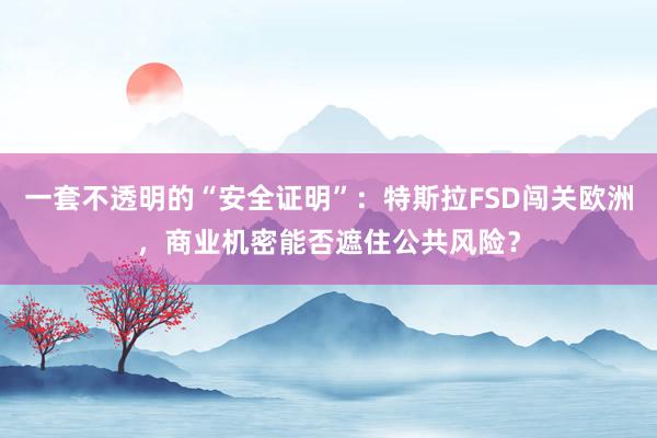 一套不透明的“安全证明”：特斯拉FSD闯关欧洲，商业机密能否遮住公共风险？