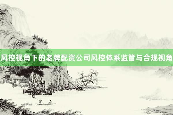 风控视角下的老牌配资公司风控体系监管与合规视角