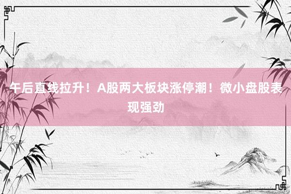 午后直线拉升！A股两大板块涨停潮！微小盘股表现强劲