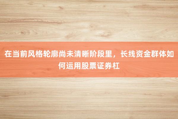 在当前风格轮廓尚未清晰阶段里，长线资金群体如何运用股票证券杠