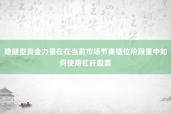 稳健型资金力量在在当前市场节奏错位阶段里中如何使用杠杆股票