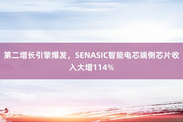 第二增长引擎爆发，SENASIC智能电芯端侧芯片收入大增114%