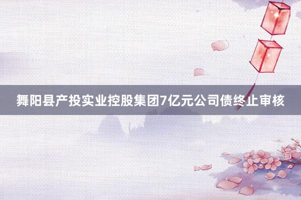 舞阳县产投实业控股集团7亿元公司债终止审核