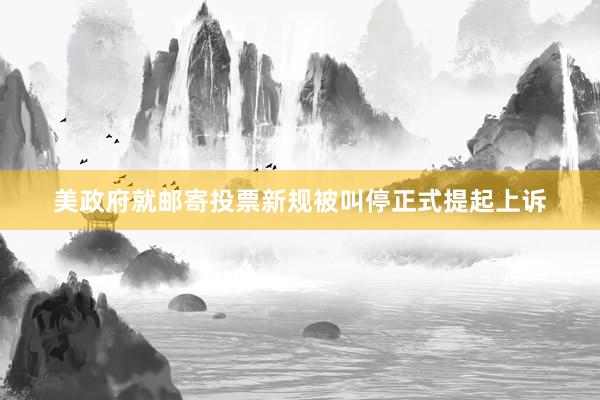 美政府就邮寄投票新规被叫停正式提起上诉